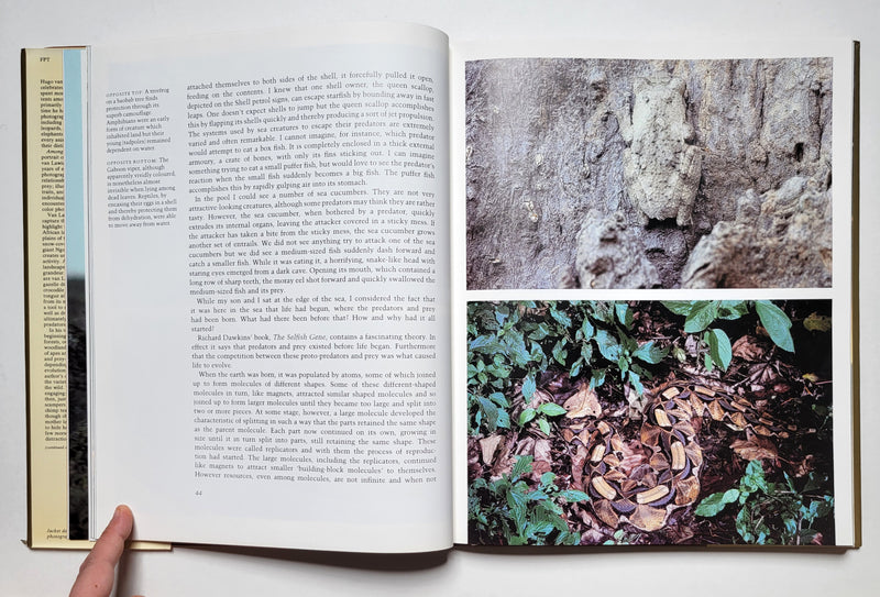 Among Predators and Prey: A Photographer’s Reflections on African Wildlife