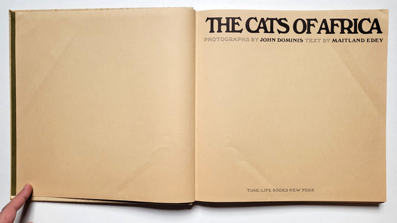 The Cats of Africa