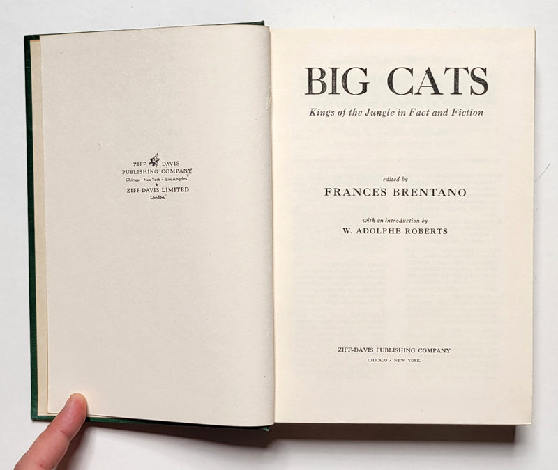 Big Cats