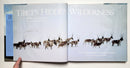 Tibet’s Hidden Wilderness: Wildlife and Nomads of the Chang Tang Preserve