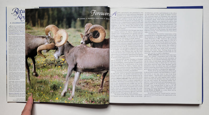 Return of Royalty: Wild Sheep of North America