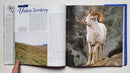Return of Royalty: Wild Sheep of North America