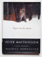 Tigers in the Snow