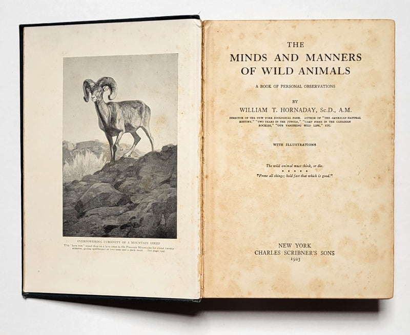 The Minds and Manners of Wild Animals