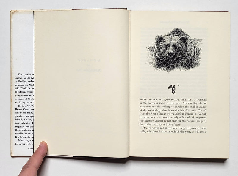 Monarch of Deadman Bay: The Life and Death of a Kodiak Bear