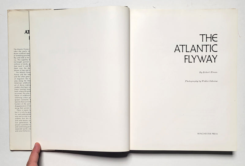 The Atlantic Flyway