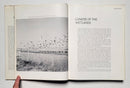The Atlantic Flyway