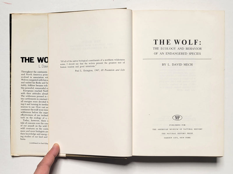 The Wolf