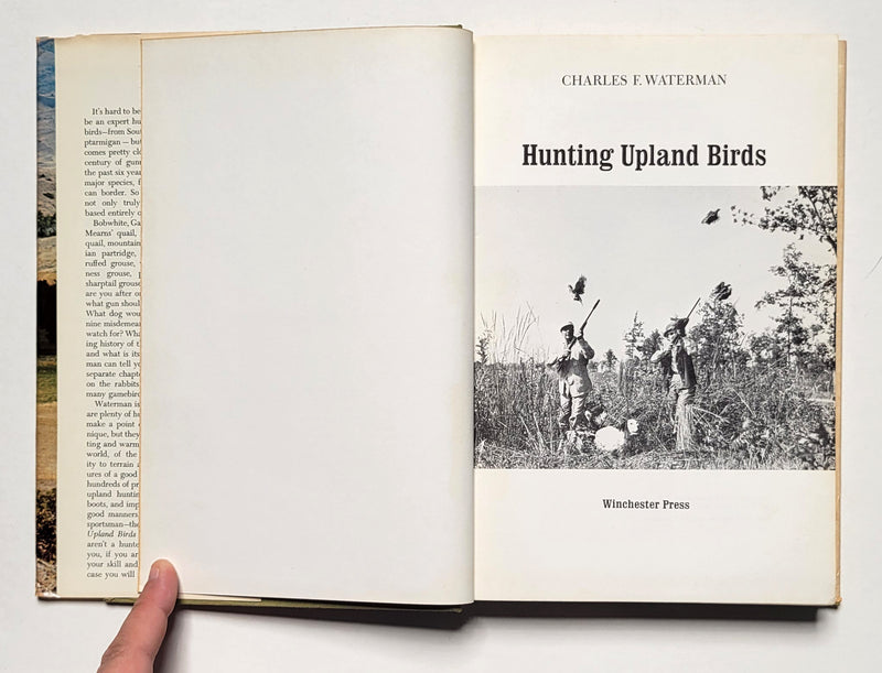 Hunting Upland Birds
