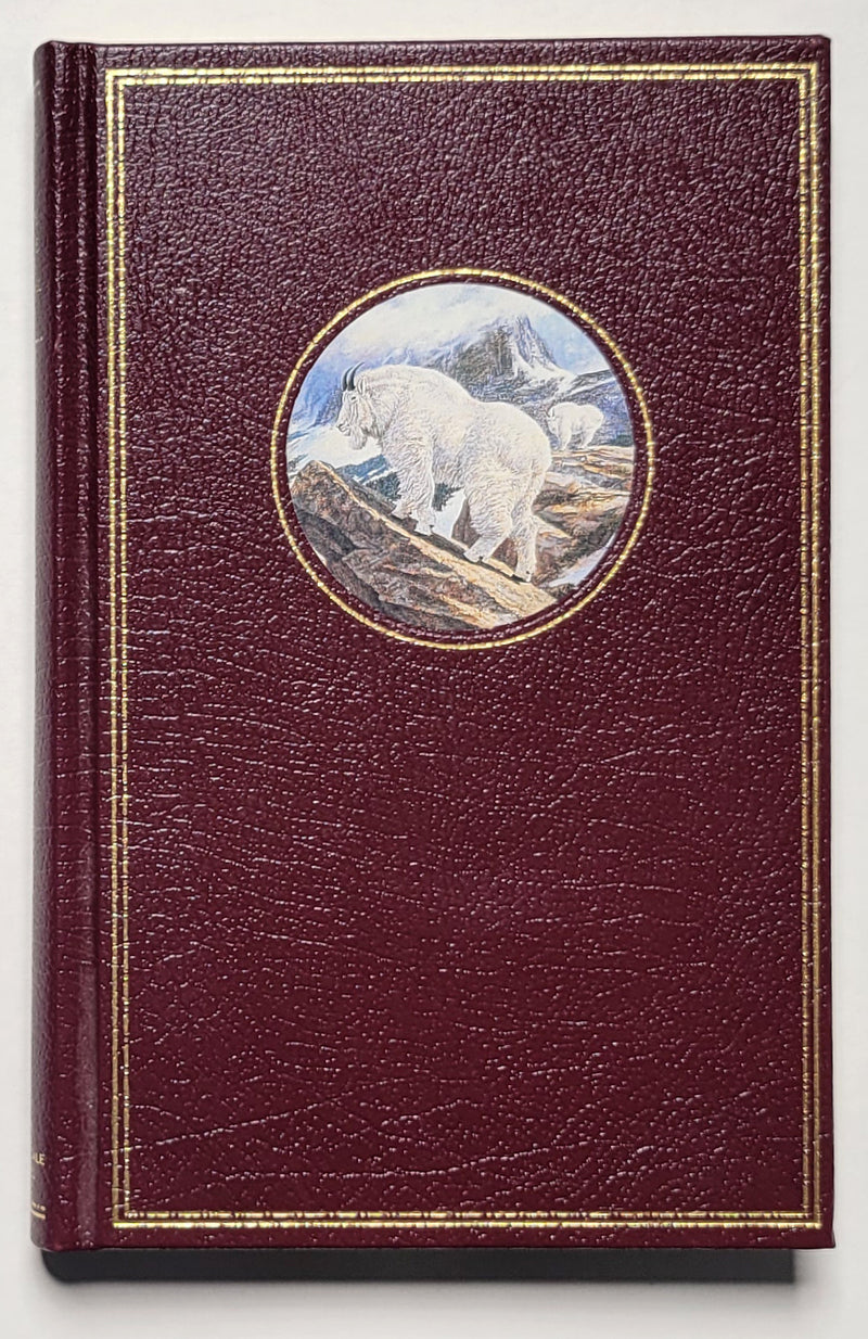 Tales of a Big Game Guide