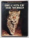 Big Cats of the World