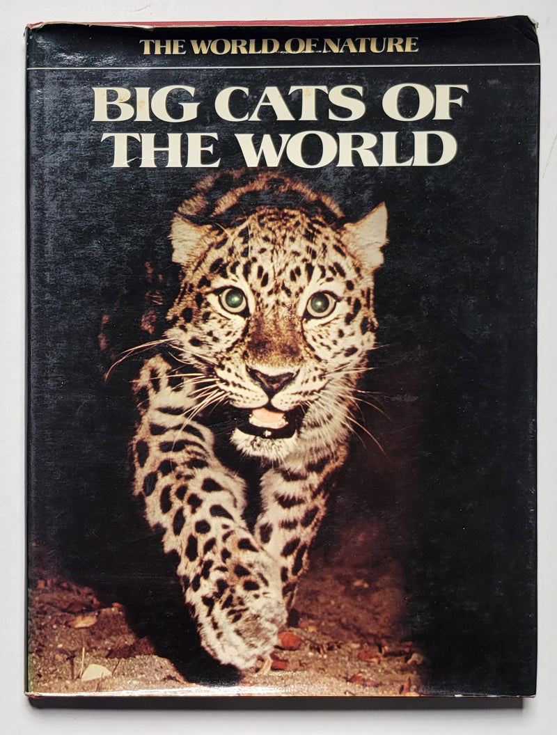 Big Cats of the World