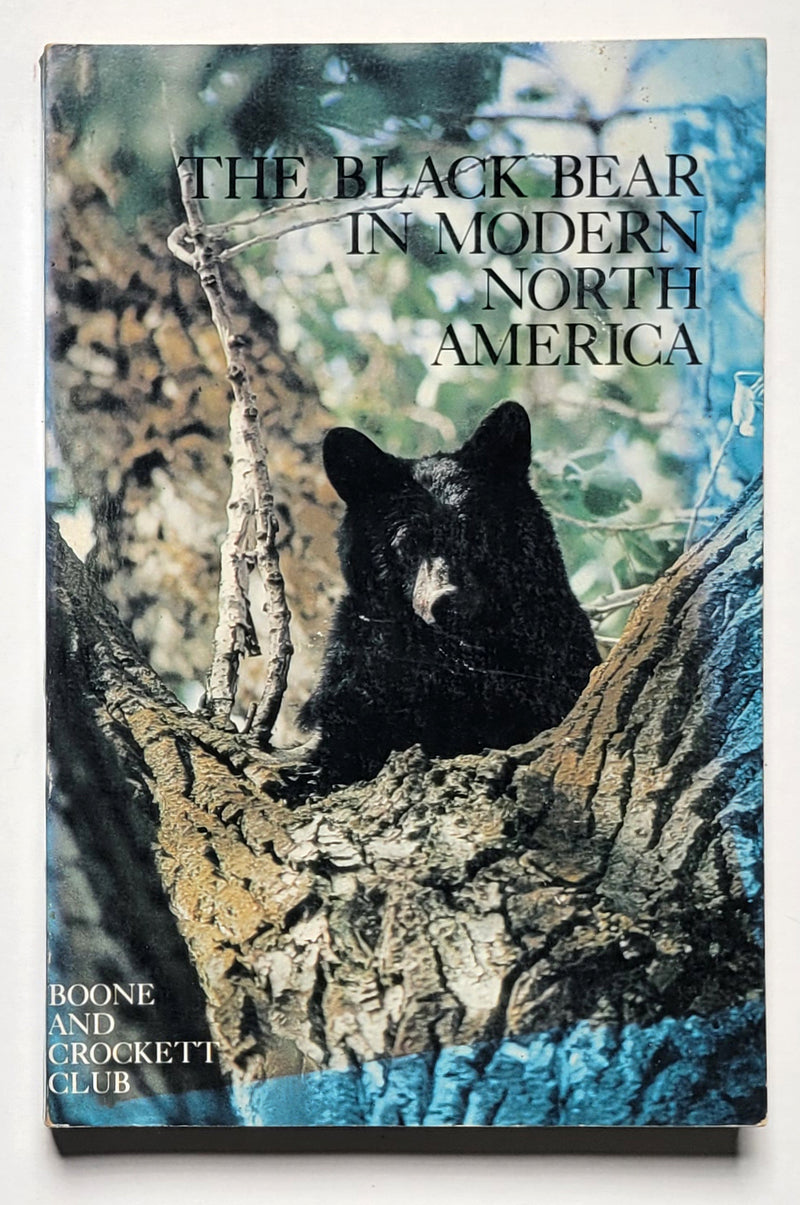 The Black Bear in North America