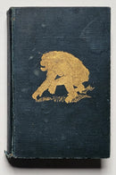 Adventures in the Great Forest of Equatorial Africa and the Country of the Dwarfs