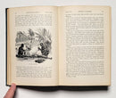 Adventures in the Great Forest of Equatorial Africa and the Country of the Dwarfs