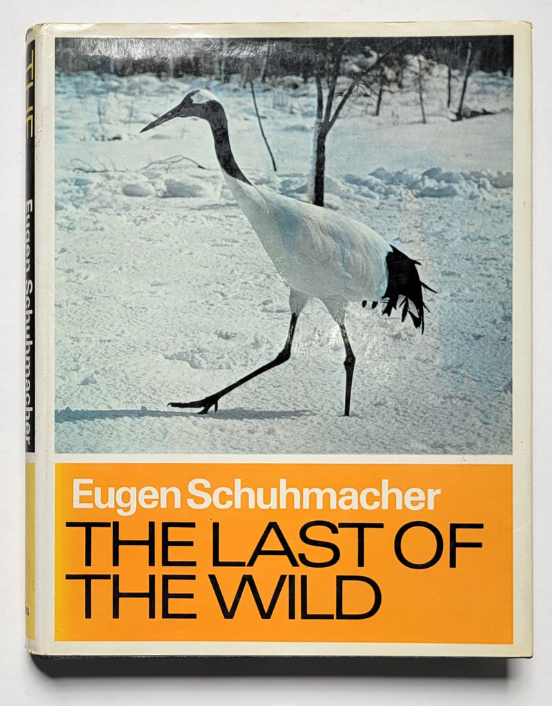 The Last of the Wild