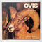 Ovis: North American Wild Sheep