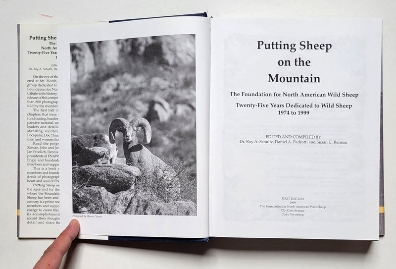 Putting Sheep on the Mountain
