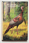 The Old Pro Turkey Hunter