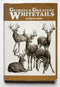 Georgia’s Greatest Whitetails