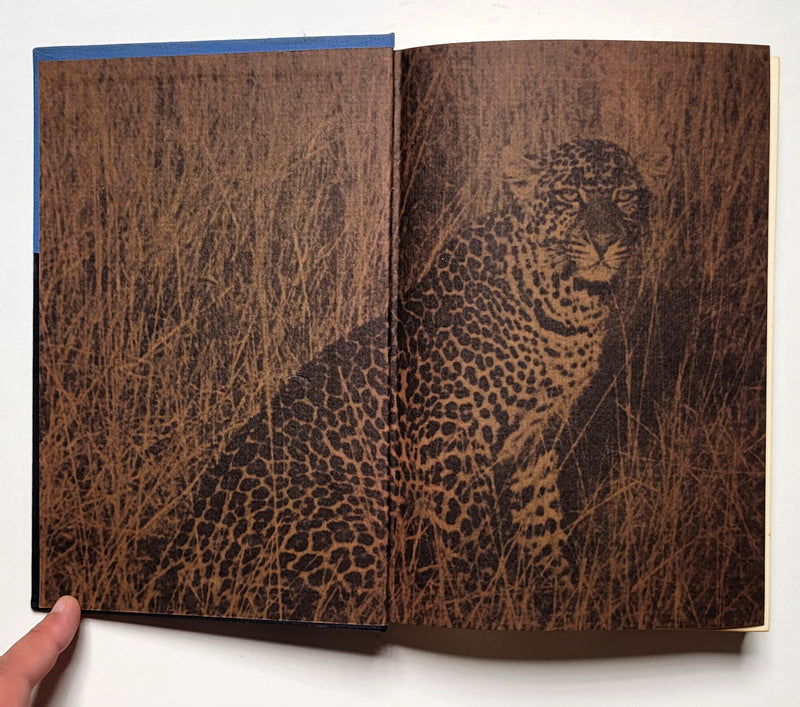 Use Enough Gun: On Hunting Big Game