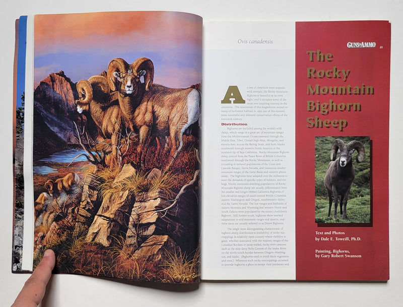 The Wild Sheep Journal