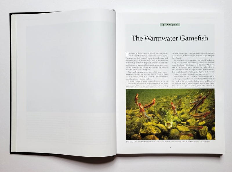 Matching Warmwater Baitfish: Patterns and Techniques for Smallmouth and Largemouth Bass, Muskie, and Other Predators
