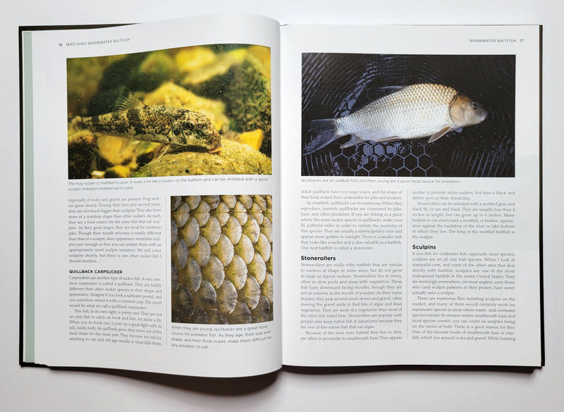 Matching Warmwater Baitfish: Patterns and Techniques for Smallmouth and Largemouth Bass, Muskie, and Other Predators