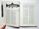 Fly Fishing Digest