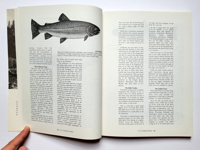 Fly Fishing Digest