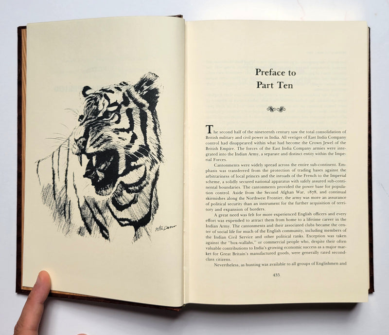 The Best of Tiger Hunting