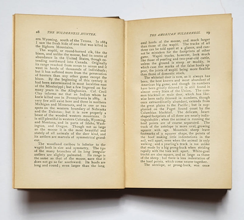 The Wilderness Hunter