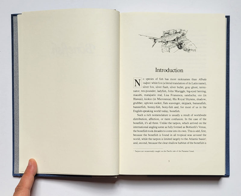 The Bonefish: Tales of the Flats