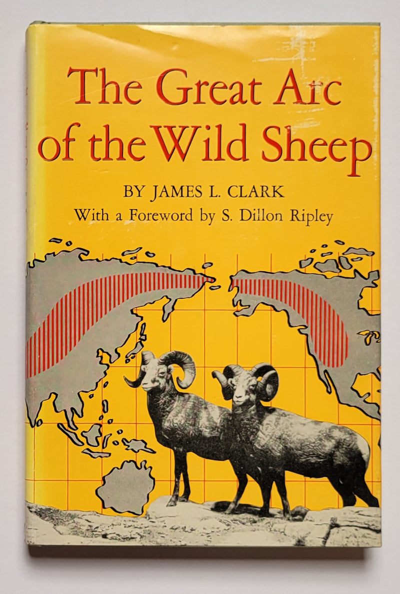 The Great Arc of the Wild Sheep