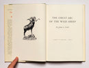 The Great Arc of the Wild Sheep