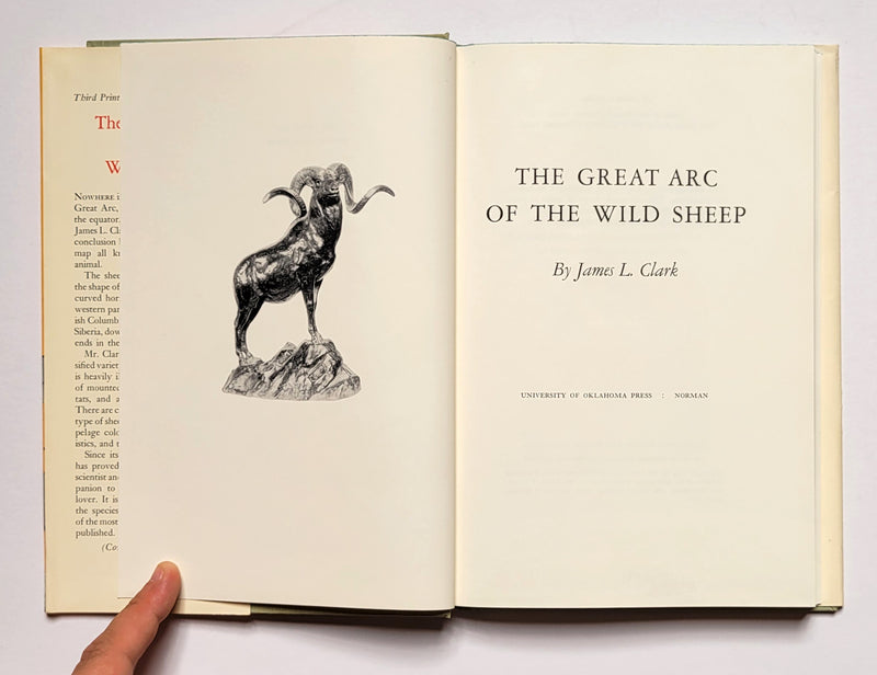 The Great Arc of the Wild Sheep