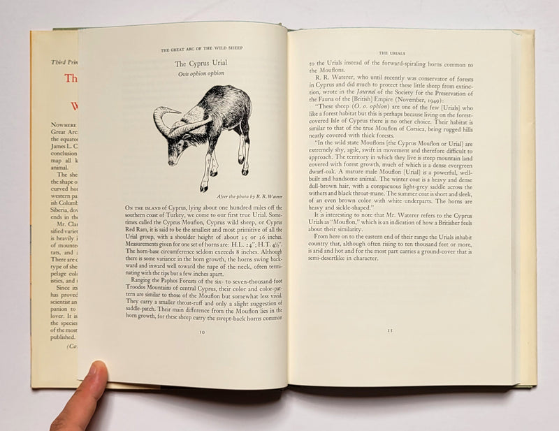 The Great Arc of the Wild Sheep