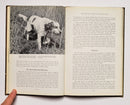 Handling Your Hunting Dog