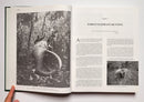Big Game Hunting in Asia, Africa and Elsewhere