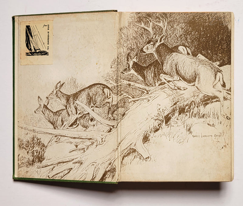 Sequoia: A Nature Story