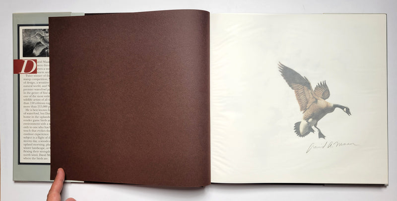 The Wildfowl Art of David Maass