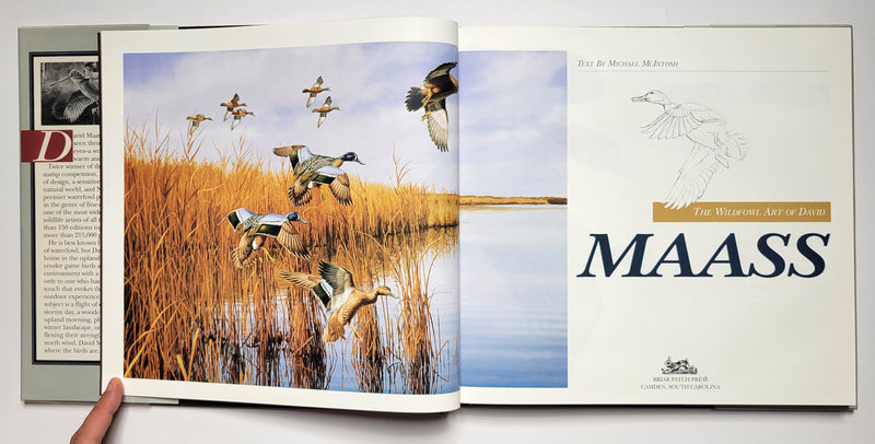 The Wildfowl Art of David Maass
