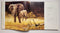 Robert Bateman: Natural Worlds