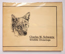 Charles W. Schwartz: Wildlife Drawings