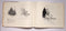 Charles W. Schwartz: Wildlife Drawings