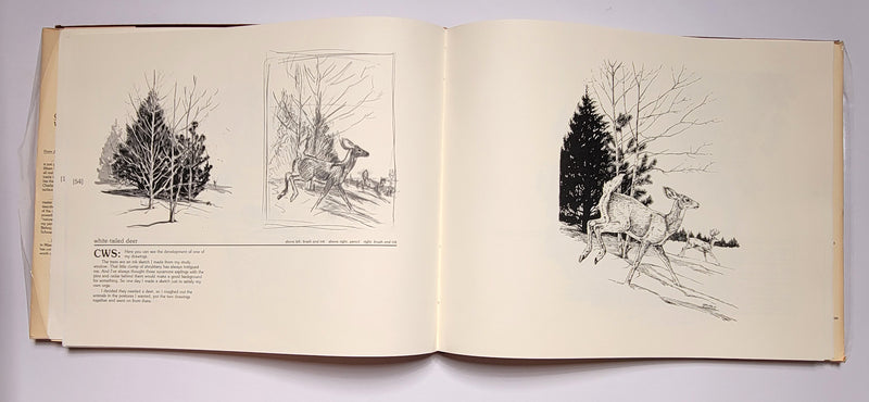 Charles W. Schwartz: Wildlife Drawings