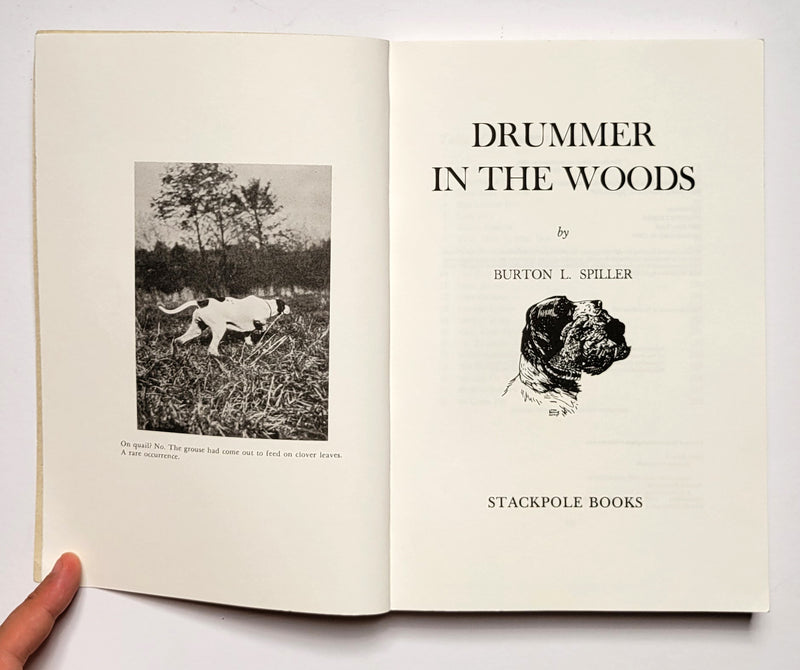 Drummer in the Woods