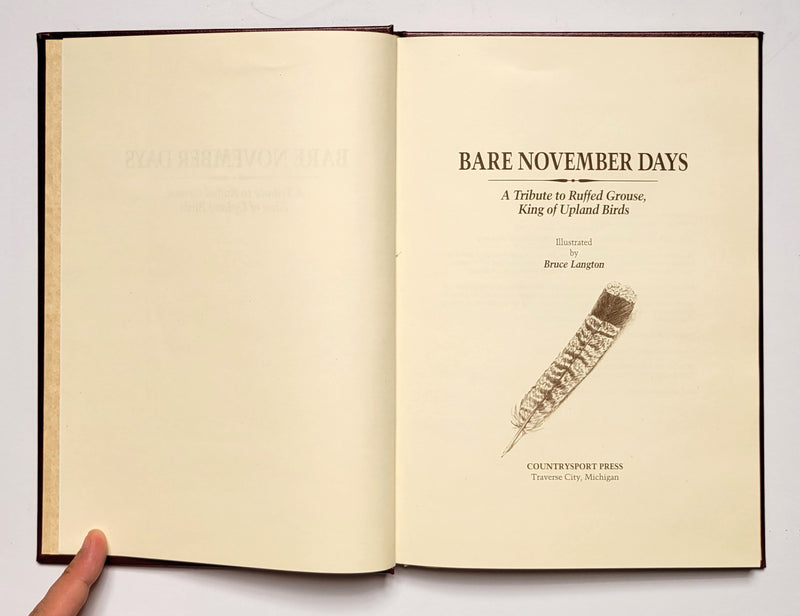 Bare November Days: A Tribute to Ruffed Grouse, King of Upland Birds
