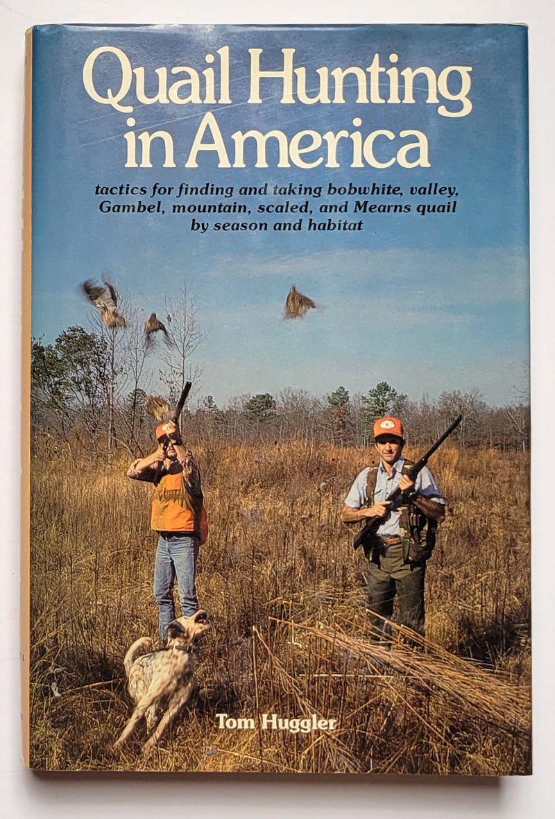 Quail Hunting in America