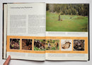The Art of Hunting